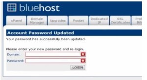 bluehost domain