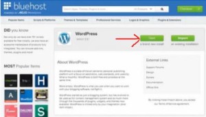 Bluehost install wordpress